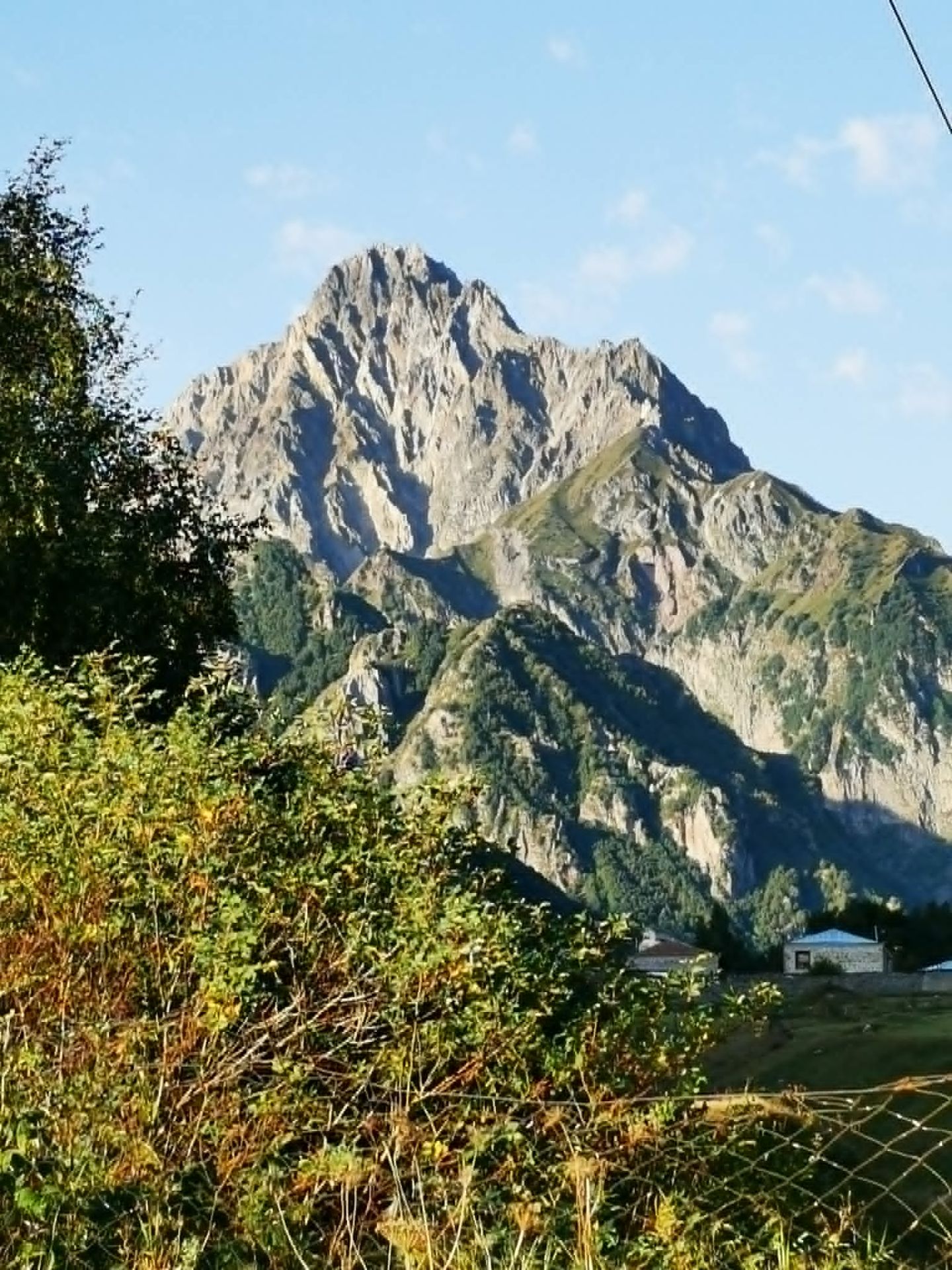 კოტეჯი ყაზბეგში